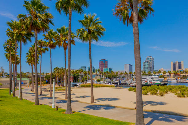 istock Long Beach Harbor with skyline with palm trees; CA 884301594