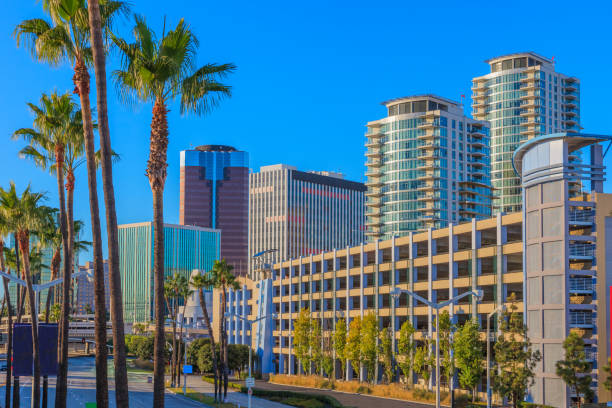 istock Downtown skycraper with palm trees, Long Beach California 884303636