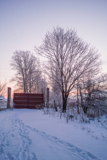 istock Beautiful winter sunset landscape 884311546