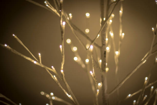 istock Indoor Christmas Lights Displayed Soft Glowing Christmas Lights 884316540