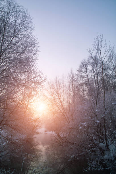 istock River on the frozen winter day 884316686