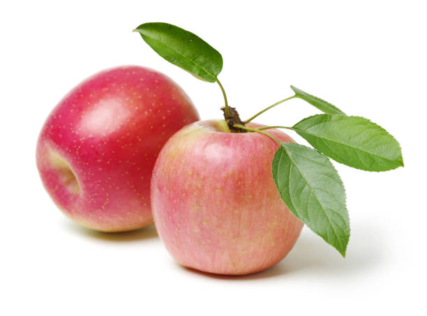 istock Apple with stem and leaves   on a white background 884316882