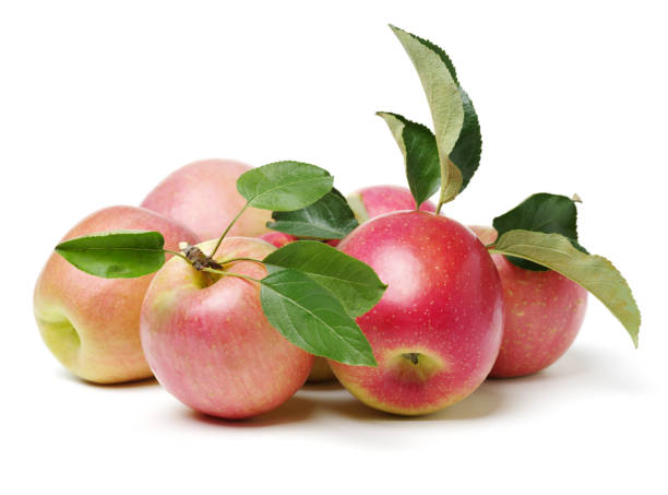 istock Apple with stem and leaves   on a white background 884316950