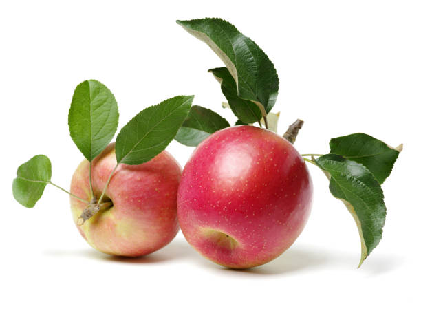 istock Apple with stem and leaves   on a white background 884316952