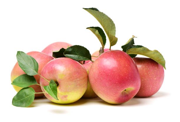 istock Apple with stem and leaves   on a white background 884320982