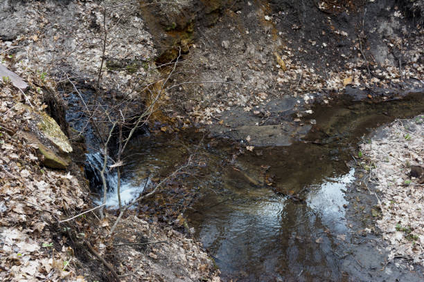 istock Stream in the ravine. Natural spring in the wild forest. 884340794