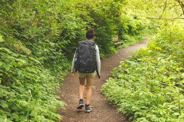 istock Solo woman hiker in the forest 884343900