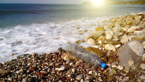 The irresponsible attitude of humanity towards nature: a beached empty plastic bottle on the background of beautiful nature - sea, sun, mountains stock photo