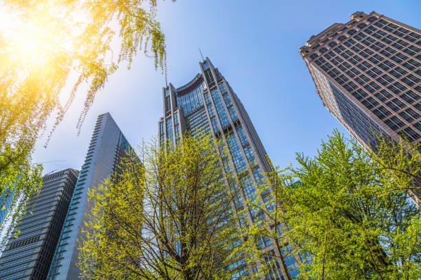 panoramę szanghaju, pudong i lujiazui - huangpu district zdjęcia i obrazy z banku zdjęć