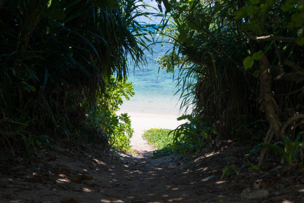 Way to the Yonehara Beach (Ishigaki Island/Ishigaki-jima, Okinawa)