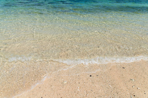 istock View to the Yonehara Beach (Ishigaki Island/Ishigaki-jima, Okinawa) 884353184
