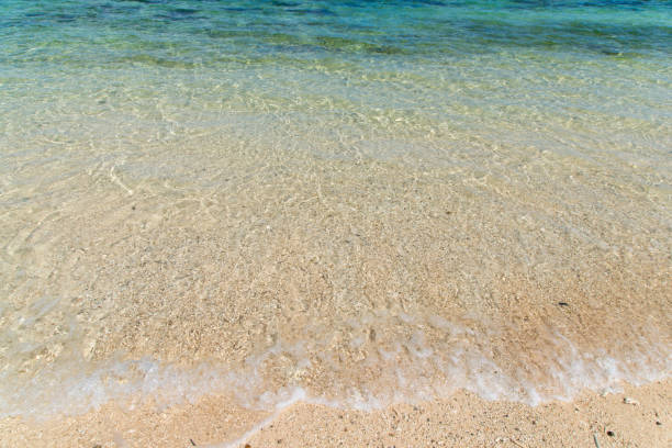 istock View to the Yonehara Beach (Ishigaki Island/Ishigaki-jima, Okinawa) 884353224