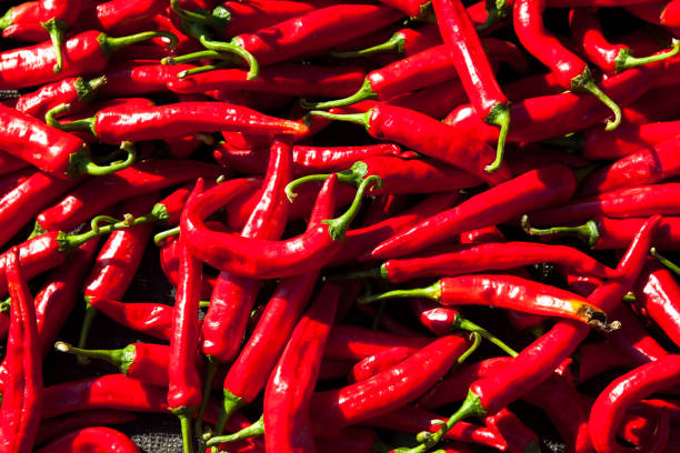 istock Background of Red hot peppers in dry 884355496