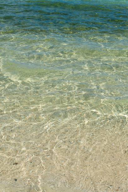 istock View to the Yonehara Beach (Ishigaki Island/Ishigaki-jima, Okinawa) 884358640