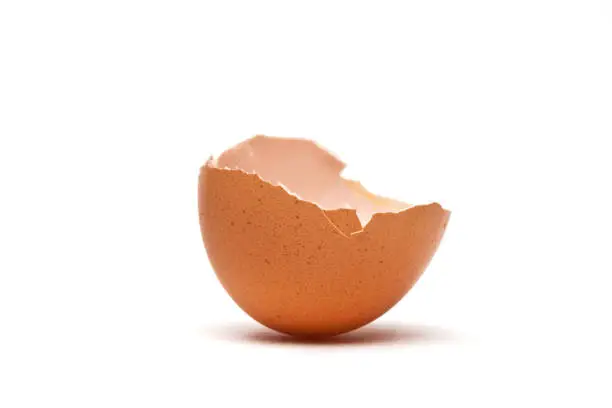 Photo of Eggshell on white background