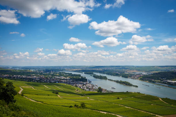 istock Panoramic view over the rhine from the Niederwald monument 884359290
