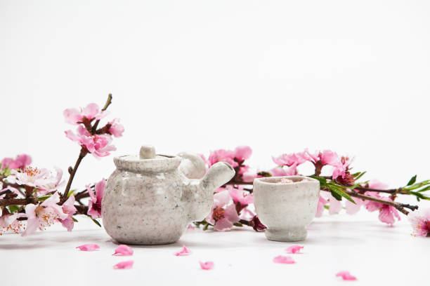 한국 매 화 꽃의 꽃잎 차 - flower cherry cup tea 뉴스 사진 이미지