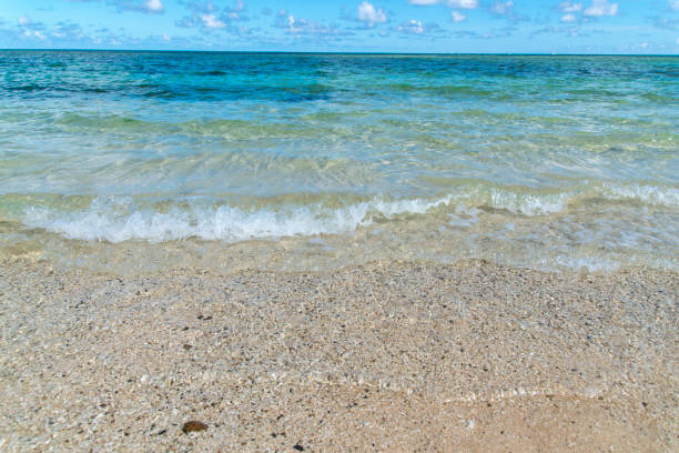 istock View to the Yonehara Beach (Ishigaki Island/Ishigaki-jima, Okinawa) 884359510