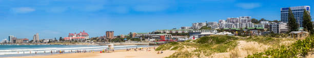 남아 프리 카 공화국에서 포트 엘리자베스 해변 파노라마 - eastern cape south africa marram grass sand dune 뉴스 사진 이미지