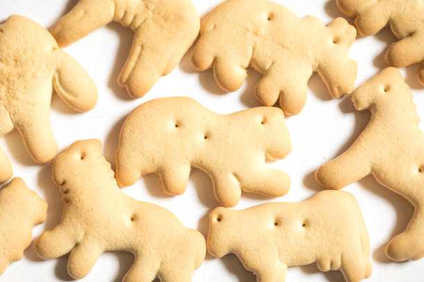 Animal Crackers Stock Photos, Pictures & Royalty-Free Images - iStock Animal Crackers Stock Photos, Pictures & Royalty-Free Images - iStock
