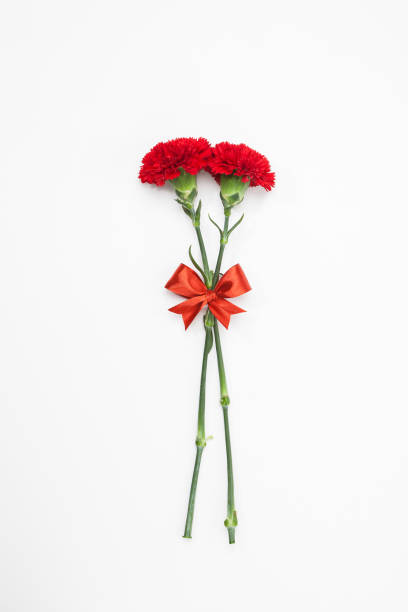 istock Red Carnation flower with red ribbon 884362590