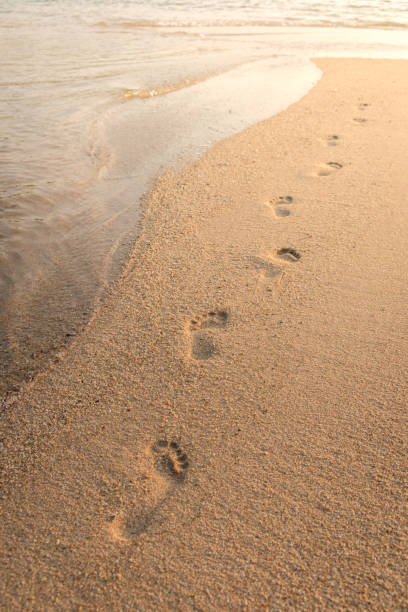 istock beach, wave and footprints at sunrise time 884371334