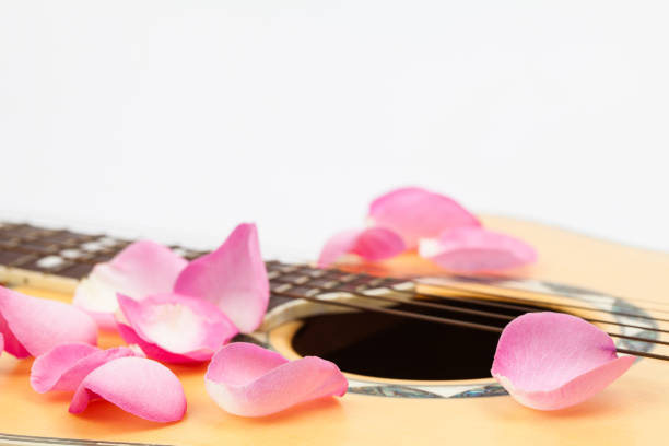 istock Guitar and pink rose leaves 884371676