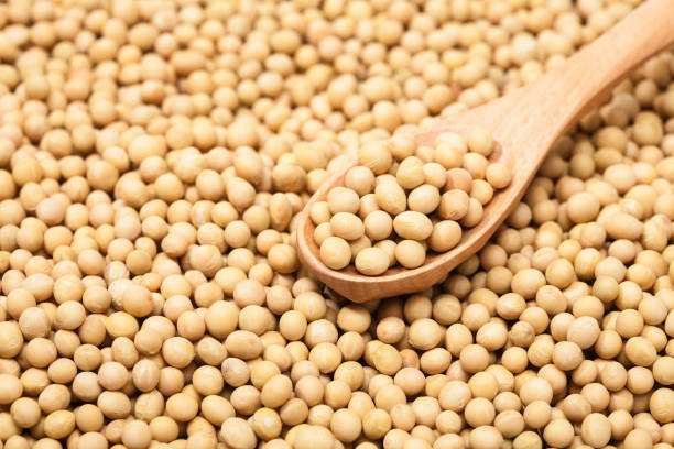 istock oy beans with wood spoon on a white 884372058