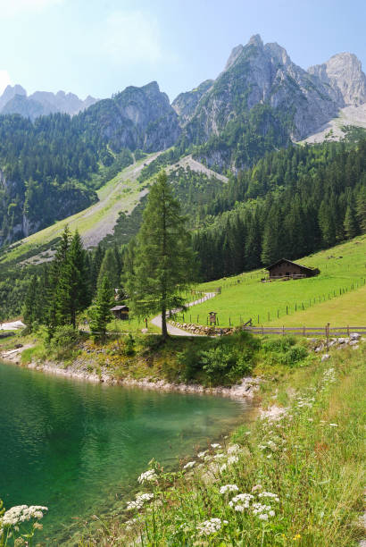 montagnes et lac de gosau, autriche - water surface european alps mountain valley photos et images de collection