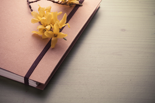 Note book with Golden Bells Plant Forsythia