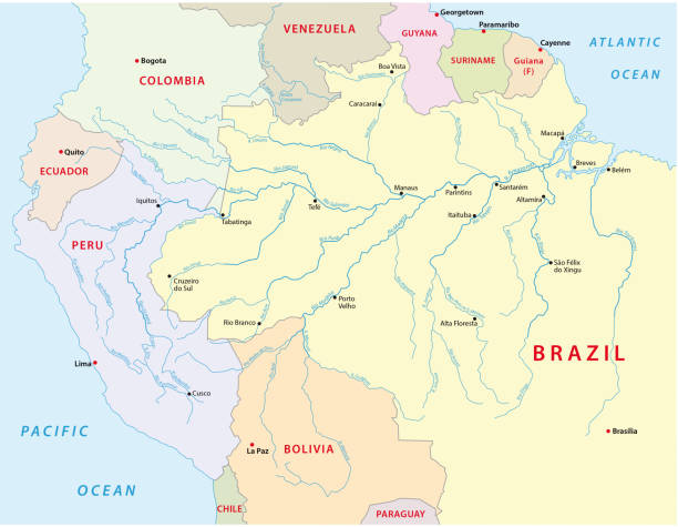 ilustraciones, imágenes clip art, dibujos animados e iconos de stock de mapa de río amazonas - río amazonas