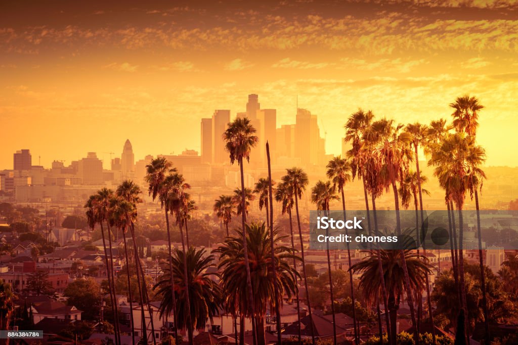 Beautiful sunset of Los Angeles downtown skyline and palm trees in foreground City Of Los Angeles Stock Photo