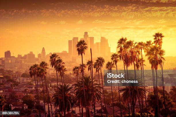 Beautiful Sunset Of Los Angeles Downtown Skyline And Palm Trees In Foreground Stock Photo - Download Image Now