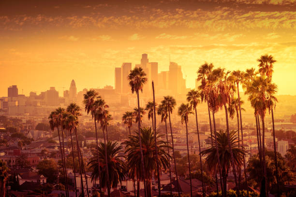 beautiful sunset of los angeles downtown skyline and palm trees in foreground - city of los angeles city life cityscape night imagens e fotografias de stock