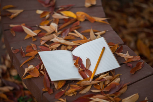 istock Book and pencil on a bench in autumn leaves view 884387276