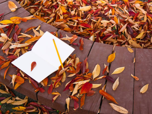 istock Book and pencil on a bench in autumn leaves view 884387364