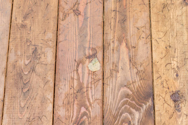 istock wooden background with fallen leaves 884390806