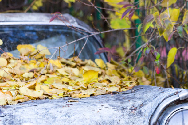 istock Old abandoned car covered with autumn leafs 884391184