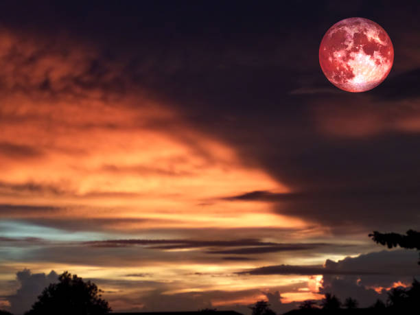 istock super blood moon in night sky over forest 884391896