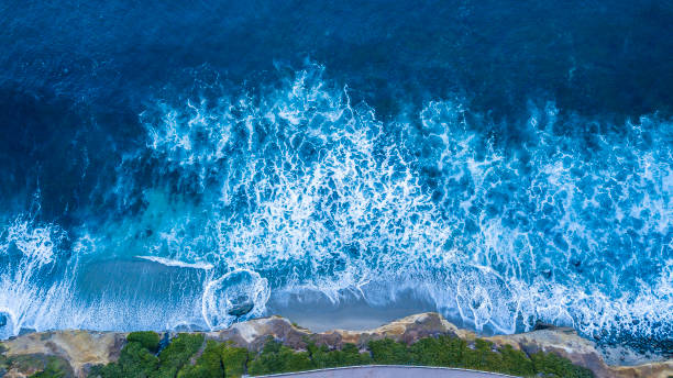 flygfoto i san diego beach - kalifornien usa - kustlinje videor bildbanksfoton och bilder