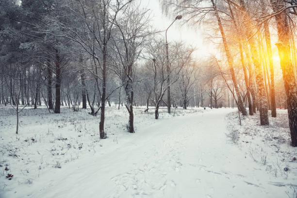 istock Beautiful winter landscape with snow covered trees 884431082