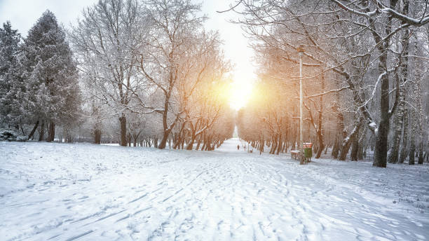 istock Beautiful winter landscape with snow covered trees 884431452
