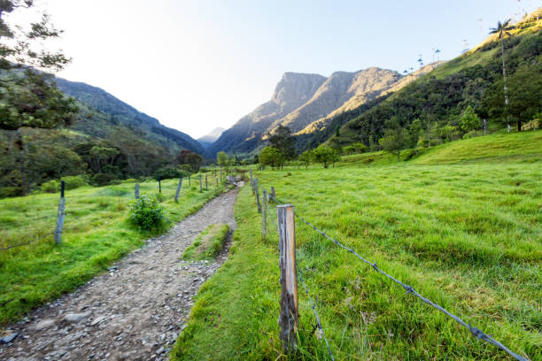 istock Los Nevados National Park 884473822