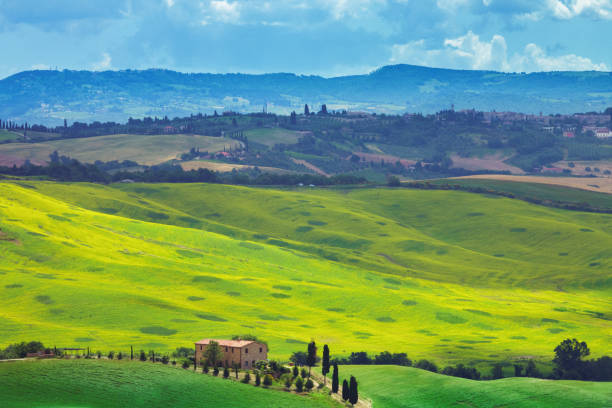 istock Landscape in Tuscany with a farm 884474494