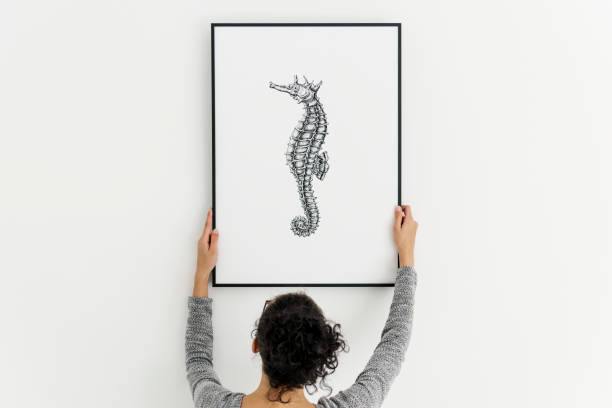 Picture frame mockup with a seahorse drawing Picture frame mockup with a seahorse drawing hanging photos stock pictures, royalty-free photos & images