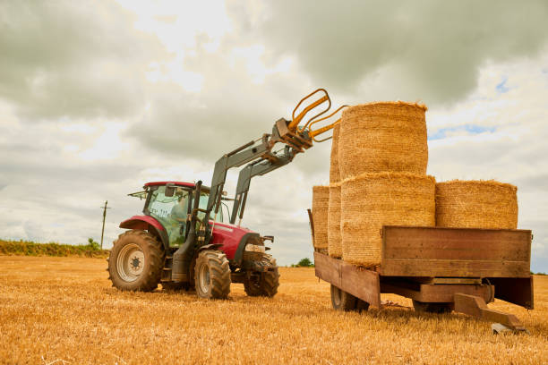 istock Keeping his farm neat and tidy 884483304