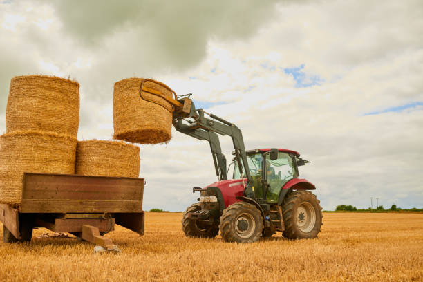 Stack 'em up Shot of a farmer stacking hale bales with a tractor on his farm bale photos stock pictures, royalty-free photos & images