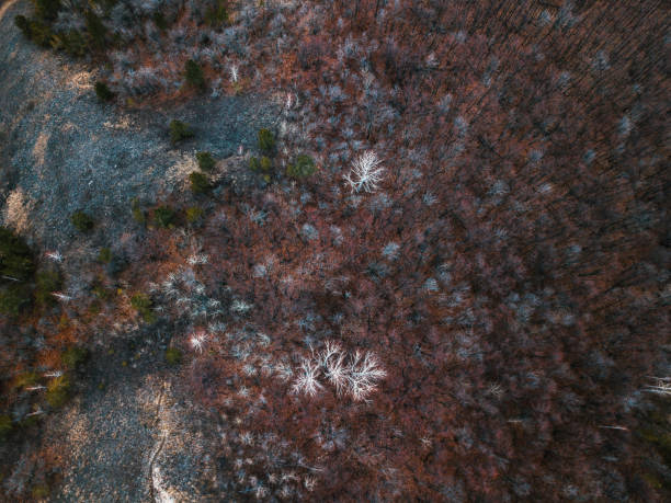 istock zhiguli mountains skyshot - russia, samara 884486450
