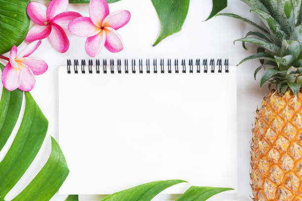 istock Tropical top view summer botanical concept  still life notebook pineapple frame with monstera liana, vine, palm leaves and plumeria frangipani flower flat lay layout 884486714