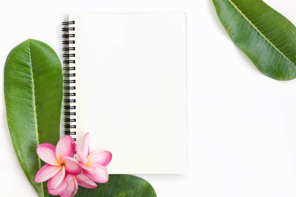 istock Tropical top view summer botanical concept still life coffee cup notebook frame with plumeria frangipani leaves flower flat lay layout 884487270